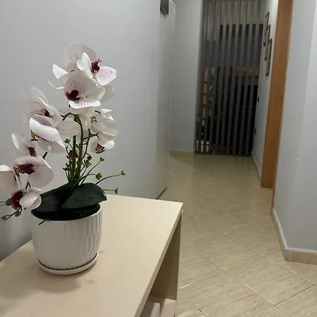 Appartamento City Apartments