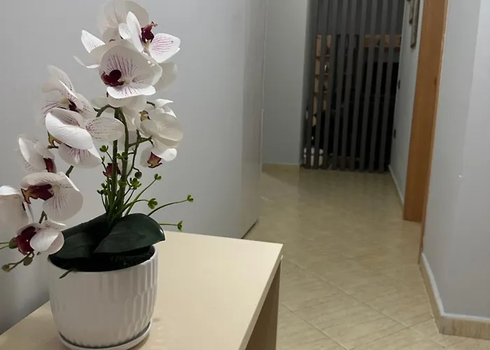 Appartamento City Apartments